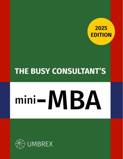 Busy Consultant's Mini-MBA