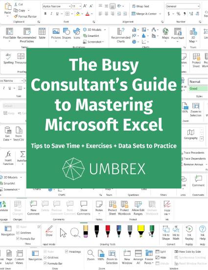 The Busy Consultant's Guide to Mastering Microsoft Excel
